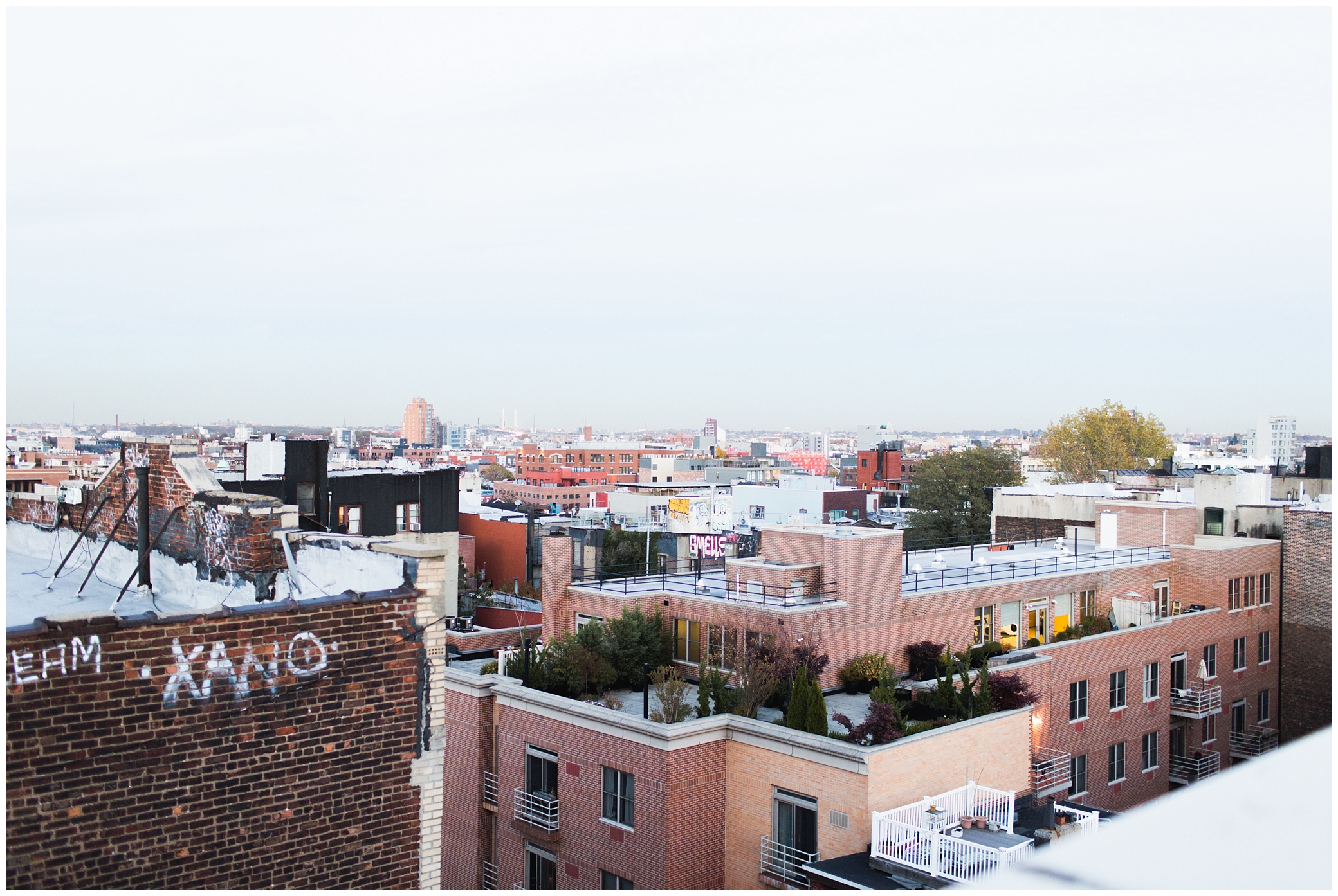 Williamsburg Elopement Photos